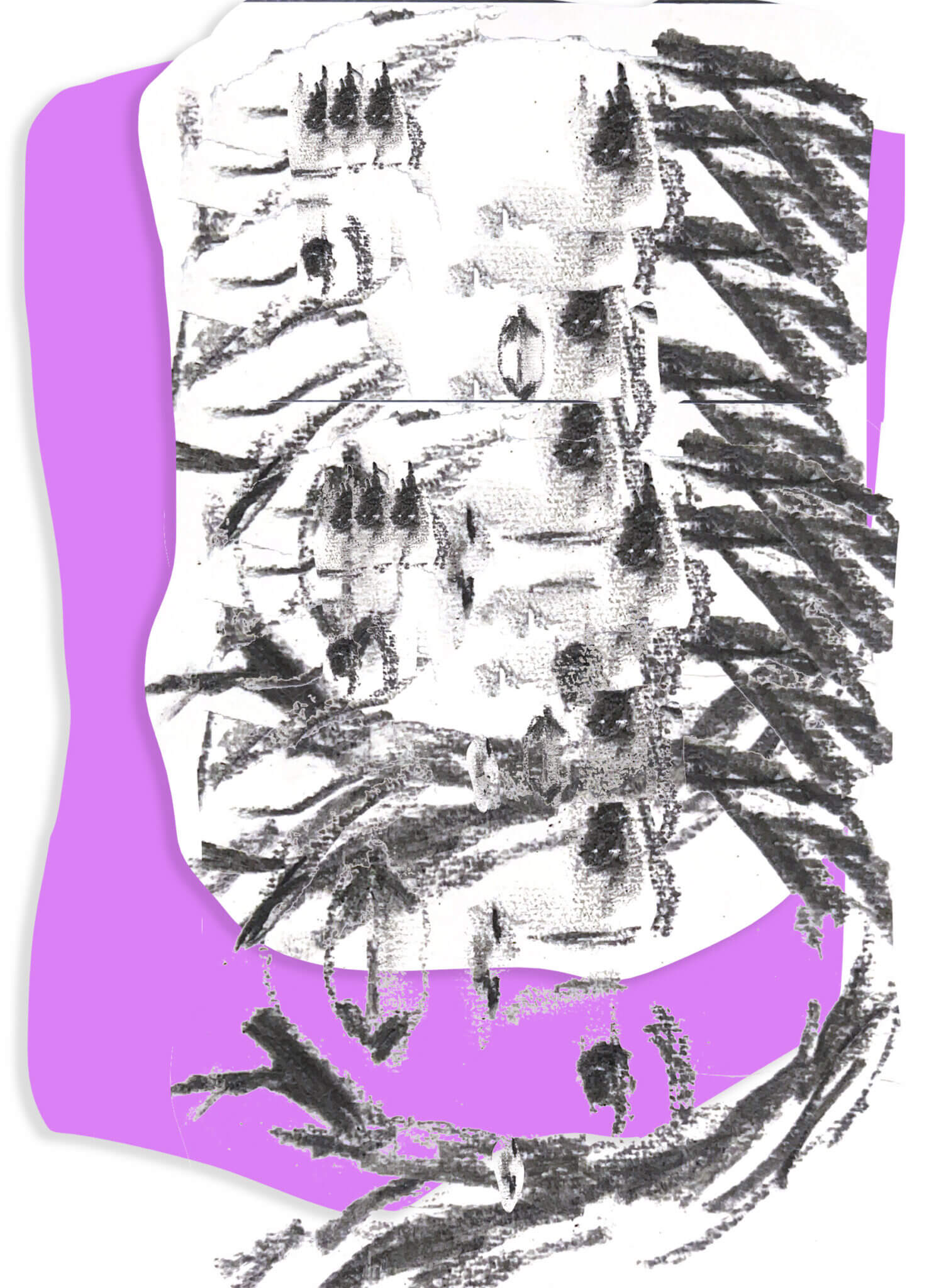 Project 2: 14 Variations